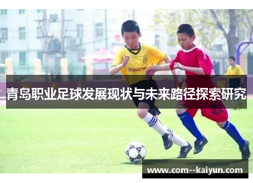 青岛职业足球发展现状与未来路径探索研究