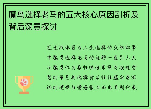 魔鸟选择老马的五大核心原因剖析及背后深意探讨