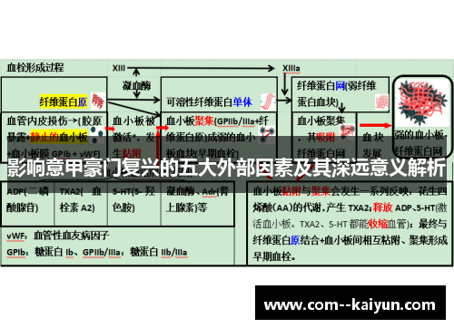 影响意甲豪门复兴的五大外部因素及其深远意义解析