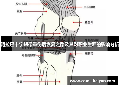 阿拉巴十字韧带重伤后恢复之路及其对职业生涯的影响分析