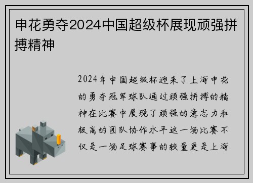 申花勇夺2024中国超级杯展现顽强拼搏精神